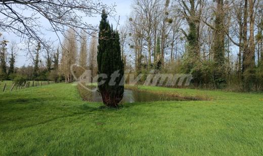  Property for Sale - Leisureground -   